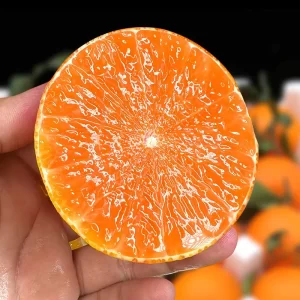 Alternative view of 果冻橙